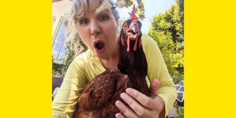 Millennials' Love Of Pet Chickens Is Big Business For $30